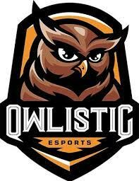Owlistic Esports